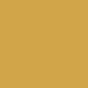 Anti-Hero Pigeon Intelligence T-Shirt - Heather Mustard/Black TaglessCollar