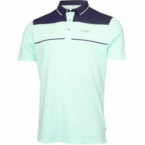 Fit for Everyone Essential Fashion Calvin Klein Eagle Polo Shirt - Aqua