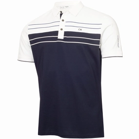 Elegant and Relaxed Calvin Klein Pinebrook Polo Shirt - Navy