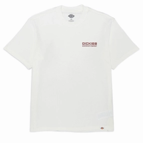Dickies Bolivar T-Shirt - Egret crew neck Adult sophistication