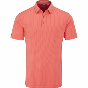Standard Body Fit Light Fashion Ping Hershel Polo - Dubarry Multi