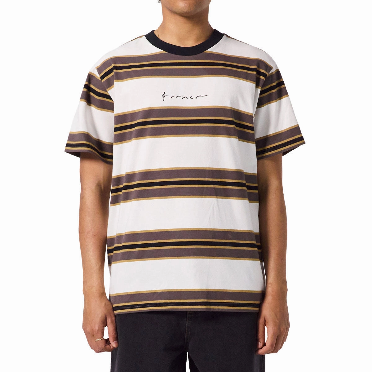 Standard Body Fit Embroidered Details Former Rampant Stripe T-Shirt - Copper