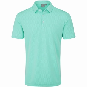 Easy Fit Ping Halcyon Polo Shirt - Aruba Blue Multi