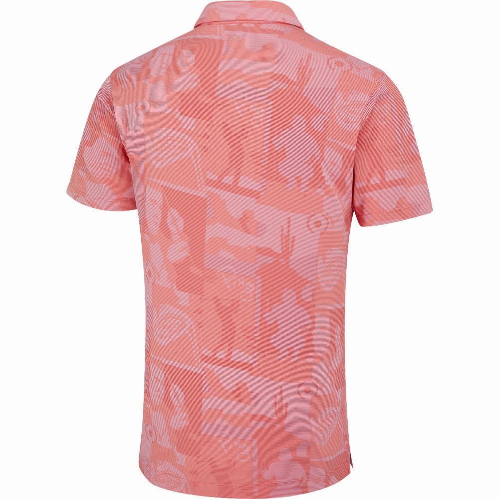 Pilling Resistant Finish Fashion-Forward Ping Legacy Polo Shirt - Dubarry Multi