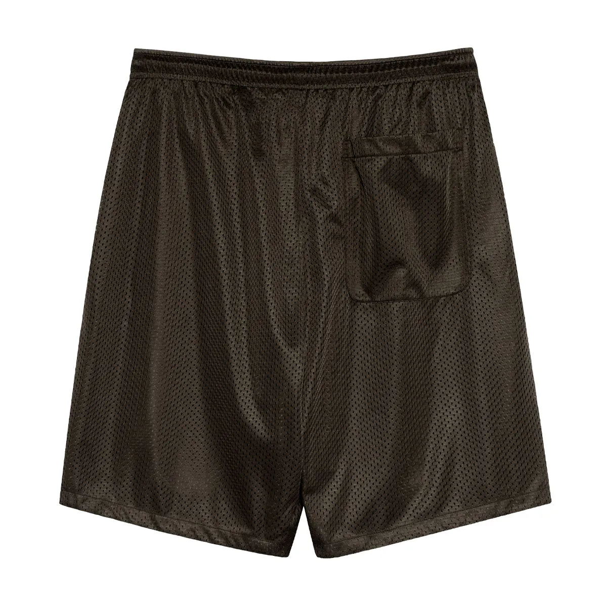 tall size Polar Ray Shorts - Brown
