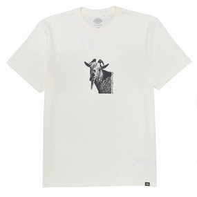 Dickies Mike Anderson Graphic T-Shirt - Natural Holiday Casual Affordable Fashion