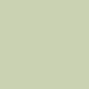 contribution familiar RVCA Ptc Pigment Tank Top - Light Olive
