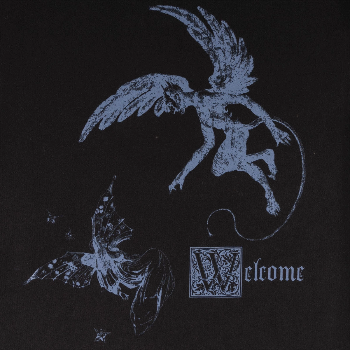 Welcome Fairy T-Shirt - Black LongLastingColor