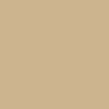 Trendy Fashion Stance Pounding Pavement T-Shirt - Khaki