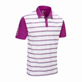 High Density Weave Stuburt Evolve Apley Polo Shirt - Plum
